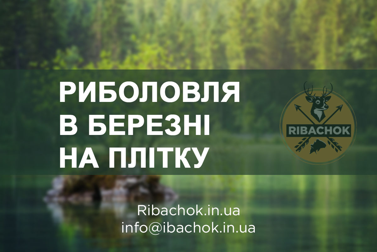 Риболовля в березні на плітку