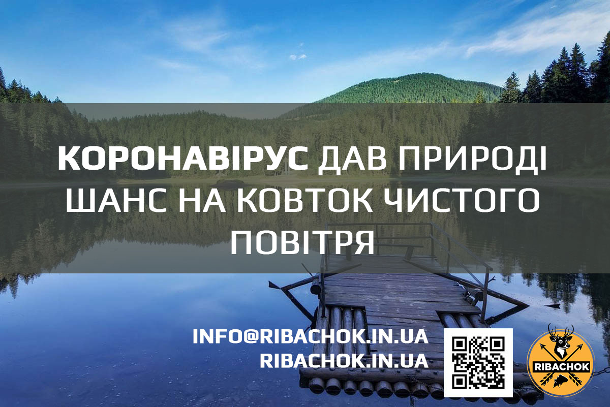 Коронавірус дав природі шанс на ковток чистого повітря koronavirus dav pryrodi shans na kovtok chystoho povitria