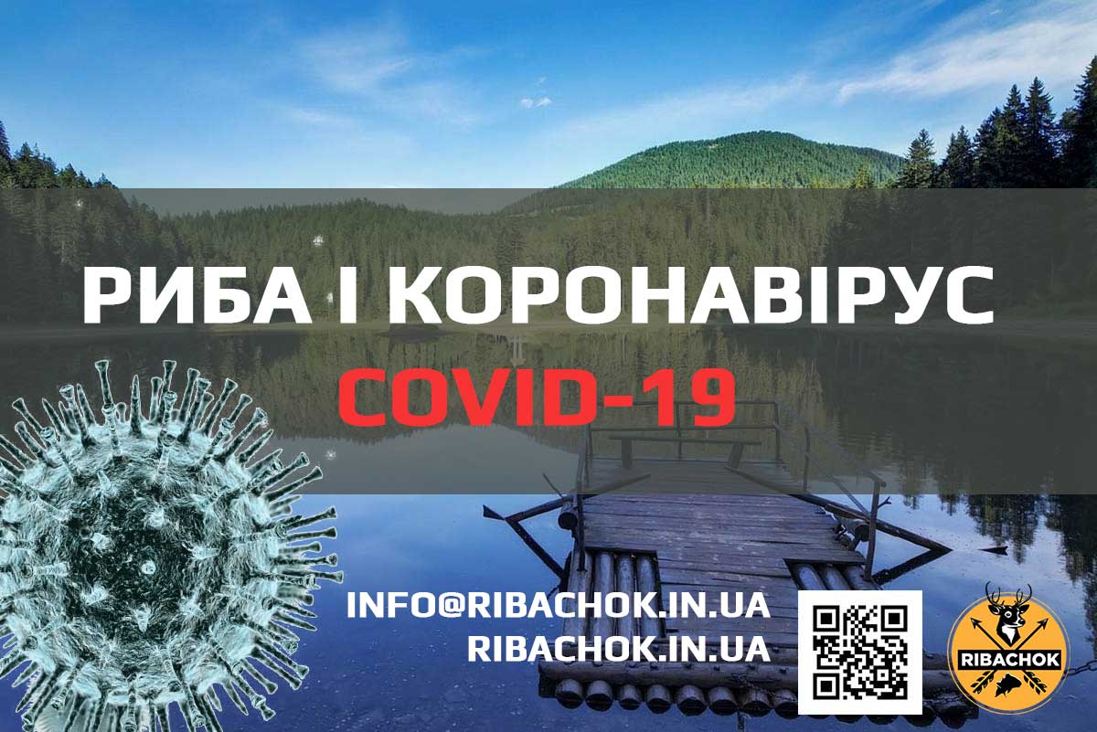 Риба і коронавірус COVID-19 ryba i koronavirus covid 19