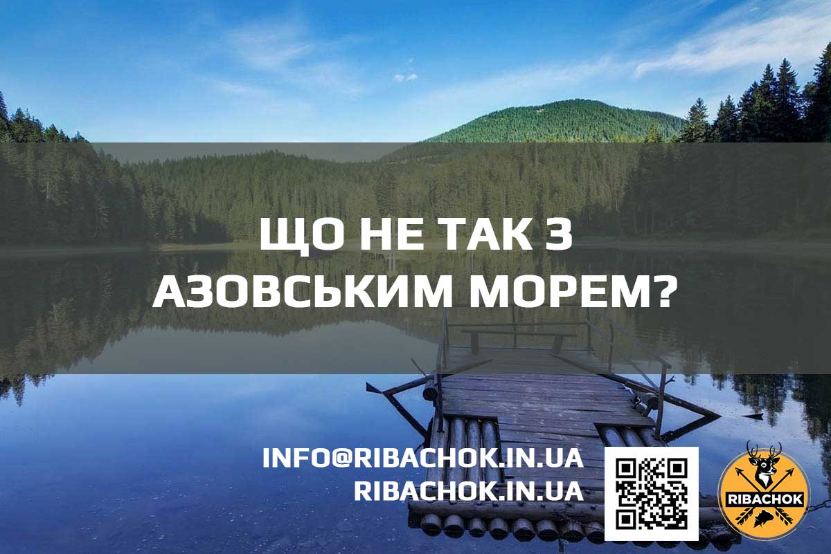 Що не так з Азовським морем shcho ne tak s azovskym morem