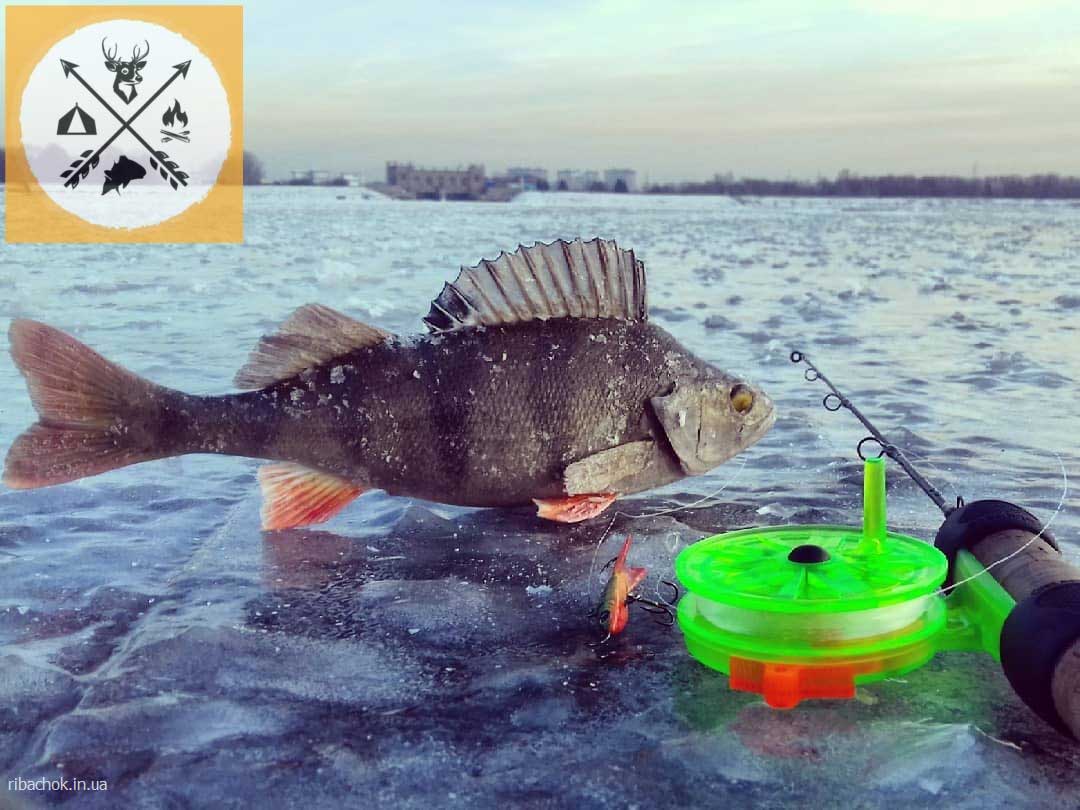 zymova rybolovlia po pershii kryzi