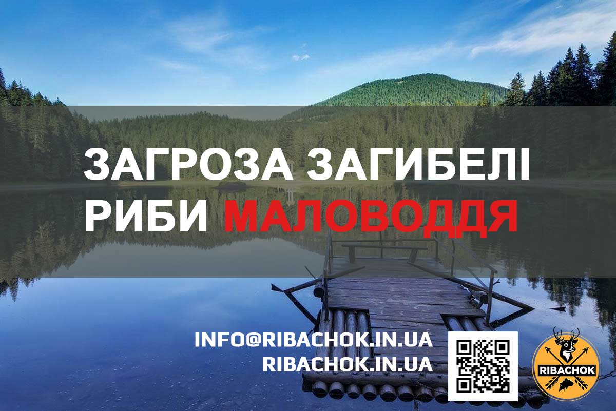zahroza zahybeli ryby malovoddia