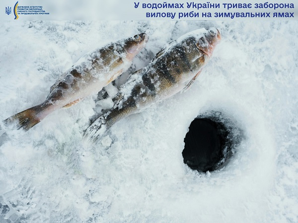 У водоймах України триває заборона вилову риби на зимувальних ямах