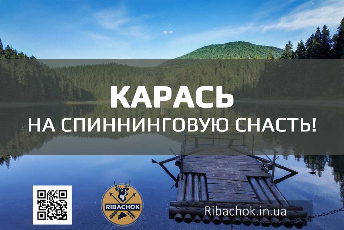 Карась на спиннинговую снасть! karas na spinigovuyu snast