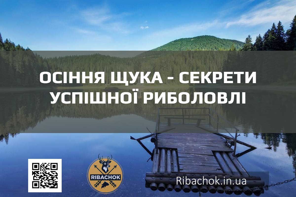 osinnia shchuka sekrety uspishnoi rybolovli