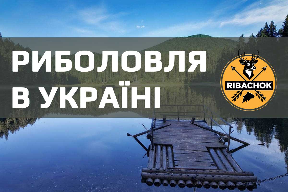 Риболовля в Україні: ставки та озера для рибної ловлі rybolovlia v ukrain