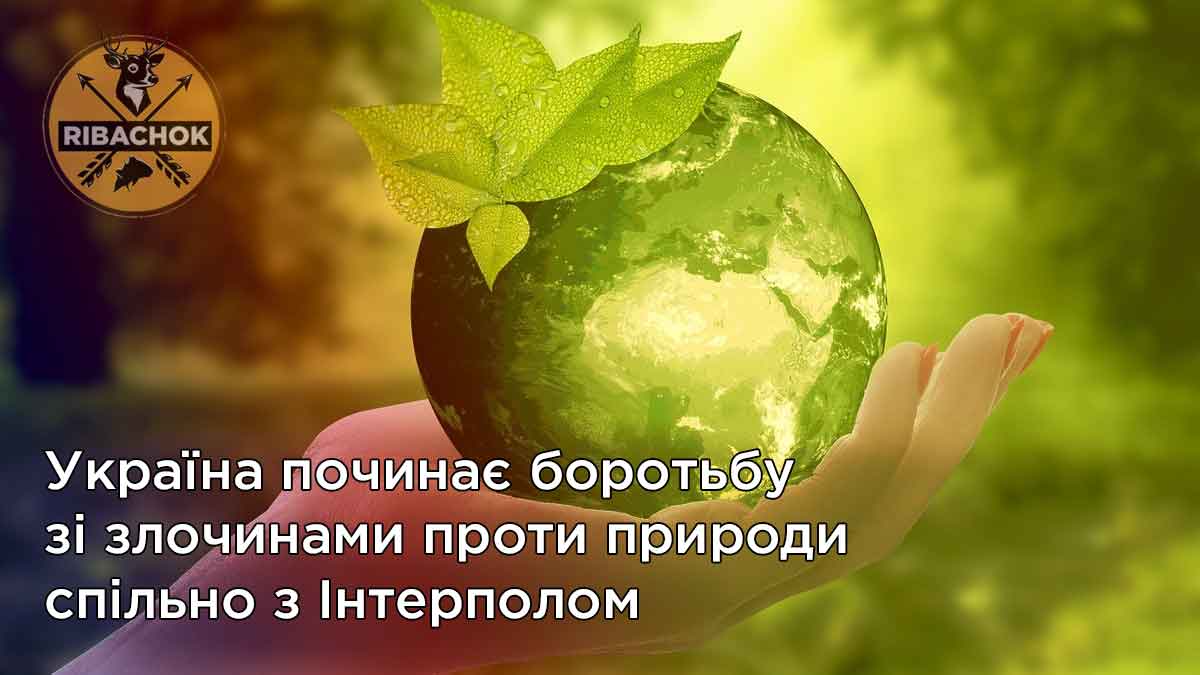 ukrajina pochinae borotbu zi zlochinami proti prirodi spilno z interpolom