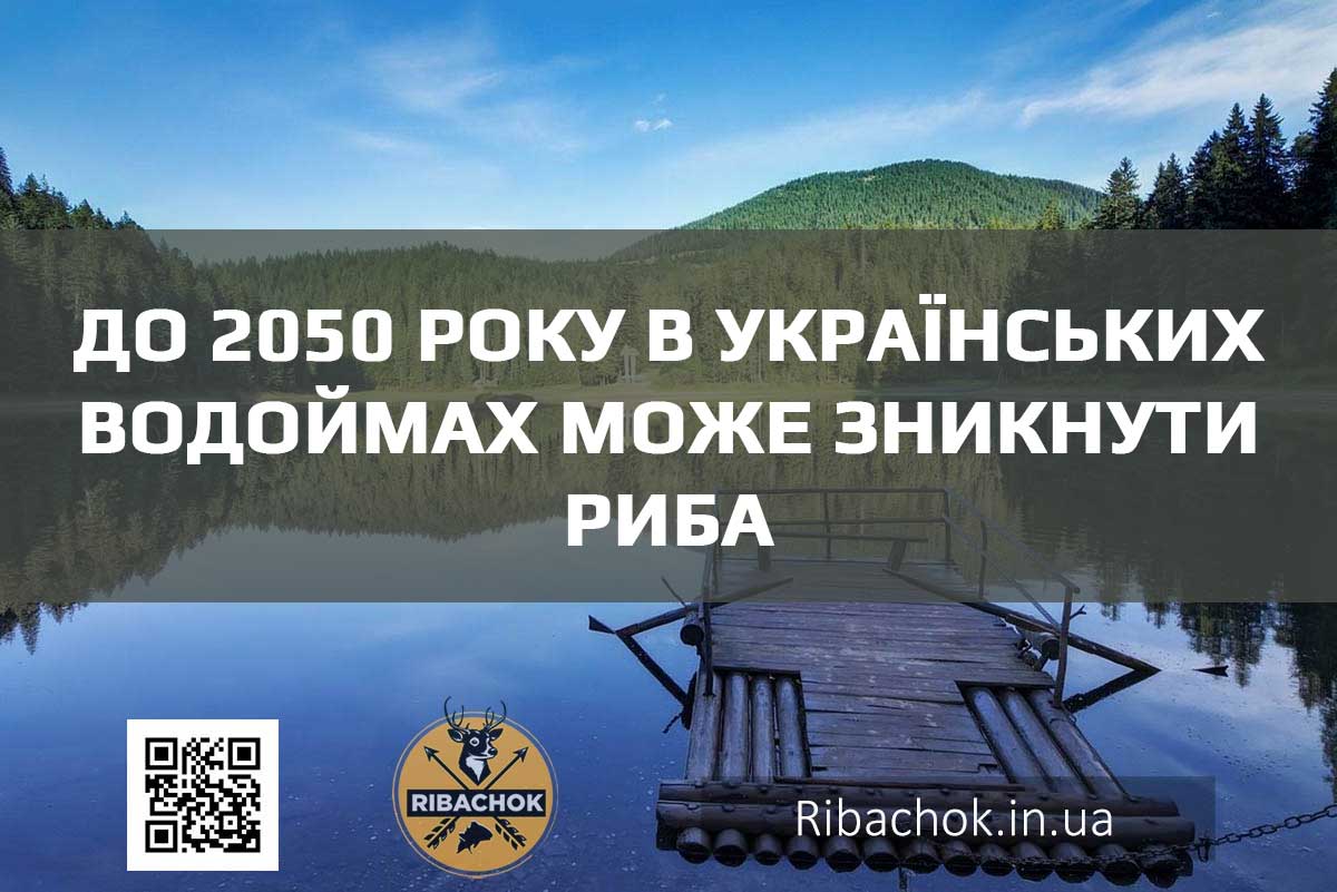 v ukrainskykh vodoimakh mozhe znyknuty ryba