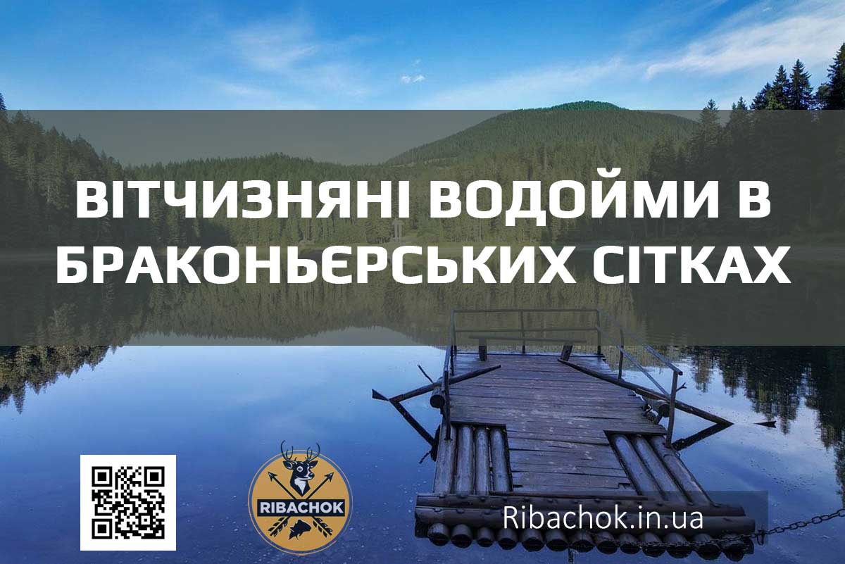 Вітчизняні водойми в браконьєрських сітках vitchyzniani vodoimy v brakonierskykh sitkakh